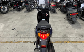 HONDA MANY CTOR AF79