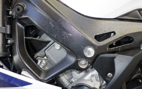 BMW S1000RR M DDC 2024