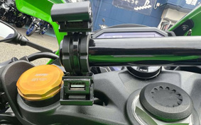 KAWASAKI Ninja ZX-4RR KRT 2024 ZX400P