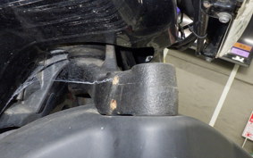 HONDA ZOOMER 2021 AF58