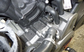 HARLEY RH975 2022