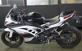 KAWASAKI NINJA 250 EX250L