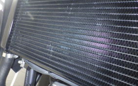 HONDA CB250RA 2025 MC52