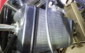 HONDA VTR 250 2024 MC33