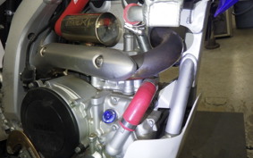 YAMAHA WR250R 2021 DG15J
