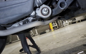 HONDA ﾀﾞﾝｸ 2009 AF74