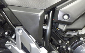 SUZUKI Vｽﾄﾛｰﾑ250A 2011
