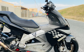 OTHER DERBI GP1 250 RACING VTHPT1A1A