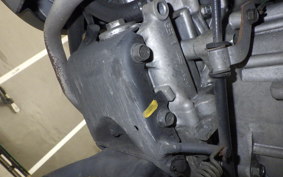 HONDA CREA SCOOPY 2017 AF55