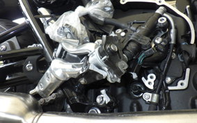 TRIUMPH BONNEVILLE T100 2023