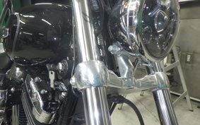 OTHER +HD. XL1200C-I 2011
