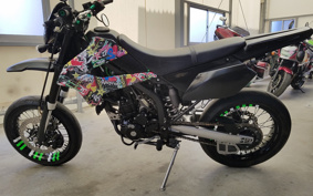 KAWASAKI KLX125D TRACKER X LX250V