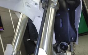 YAMAHA WR250R