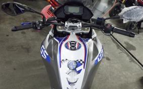BMW G310GS 2019