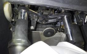 KAWASAKI NINJA 250 EX250L