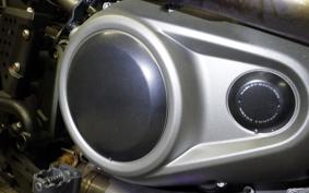 HARLEY ﾊﾟﾝ AMERICA1250S 2021