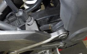 KAWASAKI NINJA 250 SL