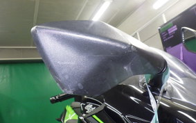 KAWASAKI NINJA 400 2019 EX400G