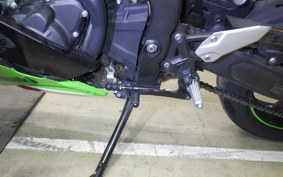 KAWASAKI ZX-4RR 2023 ZX400P