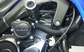 SUZUKI GSX-S1000 2019 GT79A