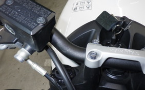 TRIUMPH TRIDENT 660 2021