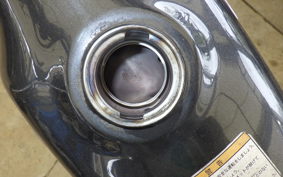 SUZUKI GRASS TRACKER NJ4BA