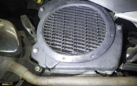 HONDA LEAD 110 2024 JF19