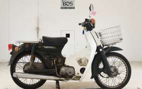 HONDA C50 SUPER CUB C50