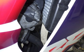 HONDA CBR250RR 2008 MC22