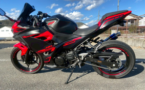 KAWASAKI Ninja 250 ABS EX250P