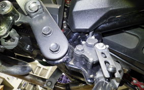 KAWASAKI Z125 PRO 2023 BR125H