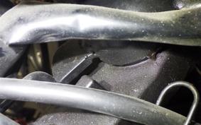 OTHER +UNREGISTERED MODEL by BDS125