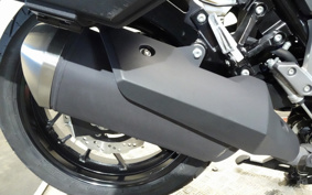 SUZUKI STROM 250 DS11A