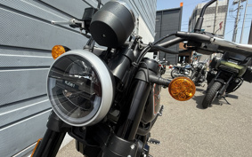 HARLEY X500 2023 W5B
