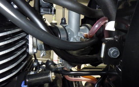 KAWASAKI W175 SE 2022