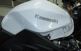KAWASAKI Z250 ER250C