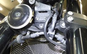 KAWASAKI Z900RS 2021 ZR900C