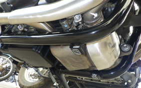 TRIUMPH SPEED TWIN 900 2024