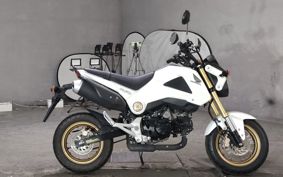 HONDA GU ROM JC61