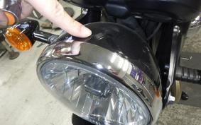 TRIUMPH BONNEVILLE T100 2024