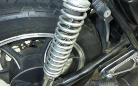 KAWASAKI Z250 Limited 2022 KZ250H