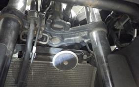KAWASAKI NINJA 250 ABS EX250L