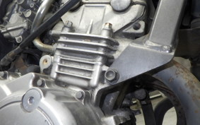 HONDA HORNET 250 MC31
