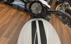 HARLEY HARLEY VRSCDX1250 2017 HHH