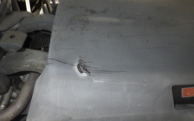 HONDA LEAD 110 2009 JF19