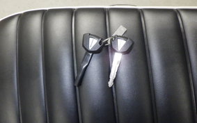 KAWASAKI W800 2023 EJ800E