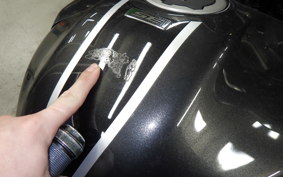 KAWASAKI VERSYS 1000 SE 2020 LZT00D