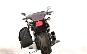 HARLEY FLSTFB 2009 JN5
