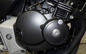 HONDA HORNET 250 2025 MC31