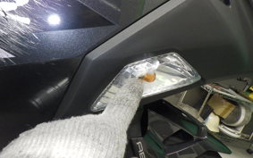 KAWASAKI NINJA 250 EX250P